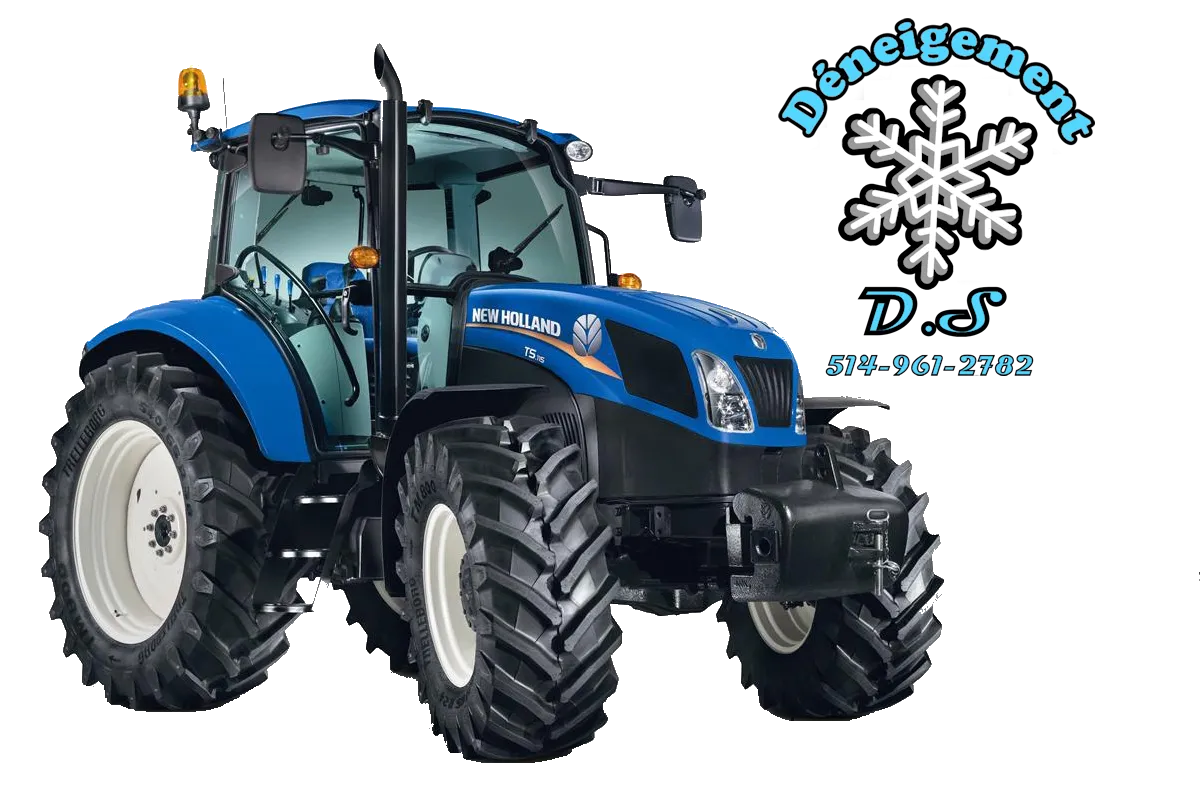 Logo de Déneigement D.S